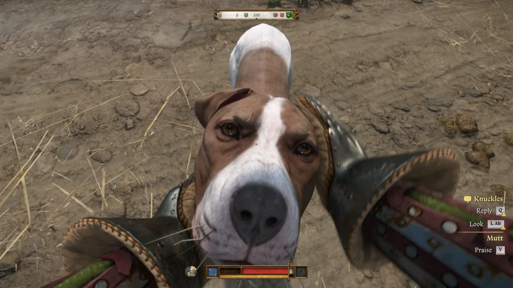 Kingdom Come: Deliverance II hond