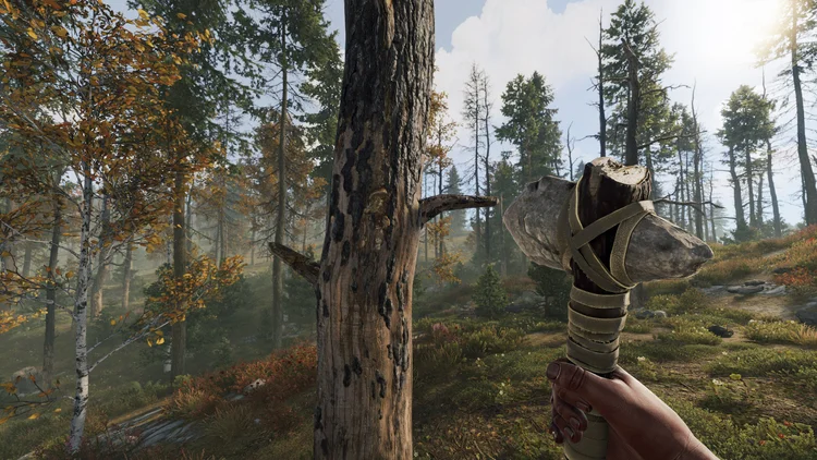 Rust Server