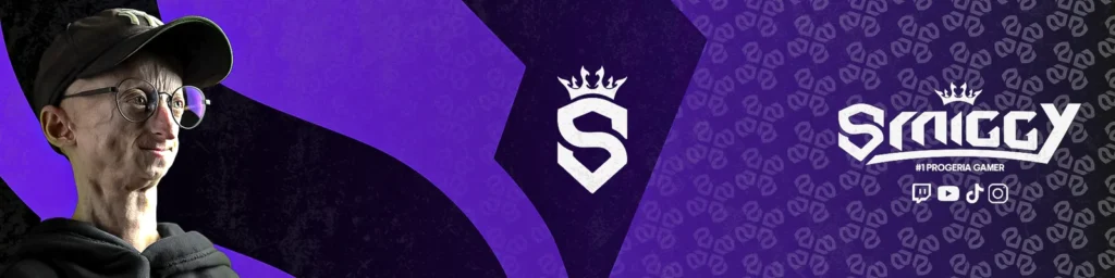Michiel van de Weert Twitch banner